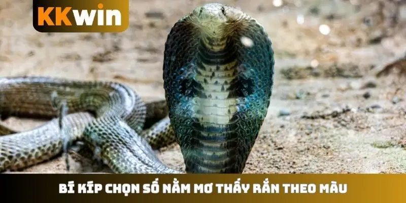 Bí kíp chọn số nằm mơ thấy rắn theo màu