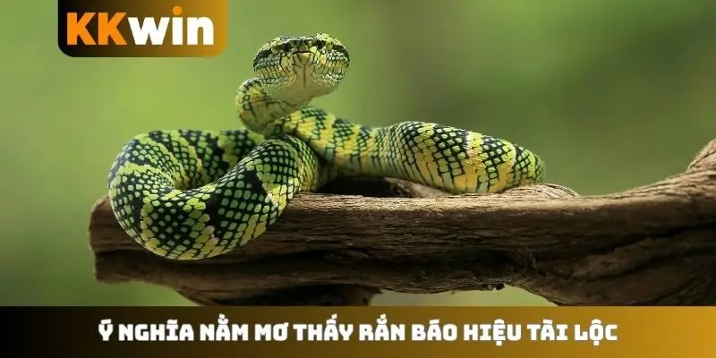 Ý nghĩa nằm mơ thấy rắn báo hiệu tài lộc